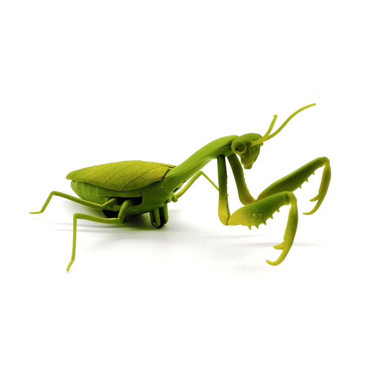 6661 Sensore a infrarossi Telecomando simulato Mantide religiosa Modello giocattolo elettrico complicato per bambini creativi, Praying Mantis