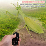 Sensore a infrarossi mantide religiosa telecomando 23cm