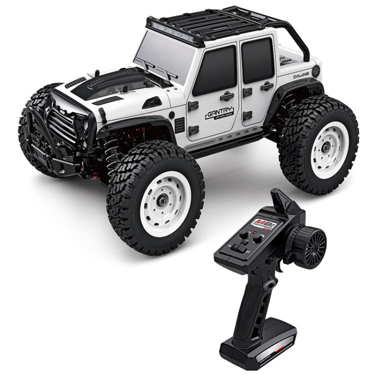 SCY-16103 2.4G 1:16 Elettrico 4WD RC Fuoristrada Giocattolo per Auto, SCY-16103 / Dark Gray, SCY-16103 / White