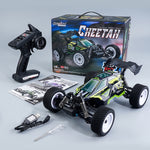 Auto radiocomandata 4WD 1:16 2.4G SCY-16201