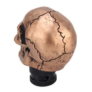 Pomello del cambio manuale o automatico universale in resina ABS a forma di testa di teschio adatto a tutte le auto, Gear Shift Knob 9