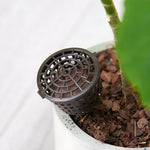 10 pezzi di attrezzi per bonsai prodotti da giardinaggio attrezzi da giardinaggio scatole di fertilizzanti bonsai con coperchio, dimensioni grandi: 6 x 4 cm, Large Size: 6 x 4cm