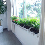 Vasi da fiori a parete verticali per balconi interni ed esterni per piante da parete Combinazione creativa di vasi da fiori in plastica in resina con vaso rimovibile