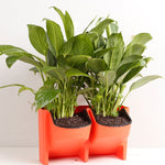 Vasi da fiori a parete verticali per balconi interni ed esterni per piante da parete Combinazione creativa di vasi da fiori in plastica in resina con vaso rimovibile