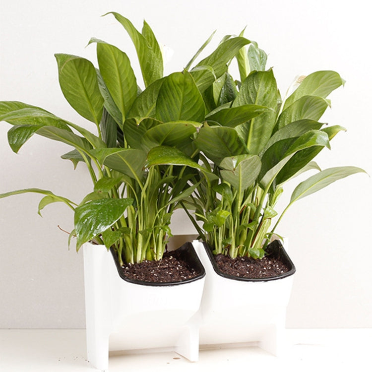 Vasi da fiori a parete verticali per balconi interni ed esterni per piante da parete Combinazione creativa di vasi da fiori in plastica in resina con vaso rimovibile