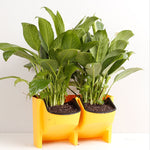 Vasi da fiori a parete verticali per balconi interni ed esterni per piante da parete Combinazione creativa di vasi da fiori in plastica in resina con vaso rimovibile
