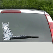 Adesivo per decalcomania in vinile autoadesivo riflettente per tergicristallo per parabrezza posteriore per auto per veicoli, Frowning Cat, Smiling Cat