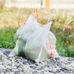 10 pezzi sacchetto di rete in nylon giardino semi frutta sacchetti di controllo dei parassiti verdura vigneto rete anti-uccello sacchetto di rete di controllo dei parassiti filtro a rete di nylon accessori forniture, dimensioni: 25*15 cm, Size: 25*15cm