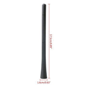 BAIFENG BF-17 Antenna AM/FM per auto adatta per Perodua Proton Toyota Honda Nissan Mazda Suzuki Ford, AM/FM Antenna