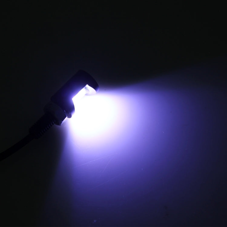 2 luci targa auto 2W 100 LM 6500K con 2 lampade SMD-5630, DC 12V, 2W 100 LM 6500K