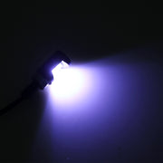 2 luci targa auto 2W 100 LM 6500K con 2 lampade SMD-5630, DC 12V, 2W 100 LM 6500K