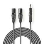 Cavo Audio XLR |2x Maschio a 3 Pin XLR-Maschio da 3,5 mm|3.0 m