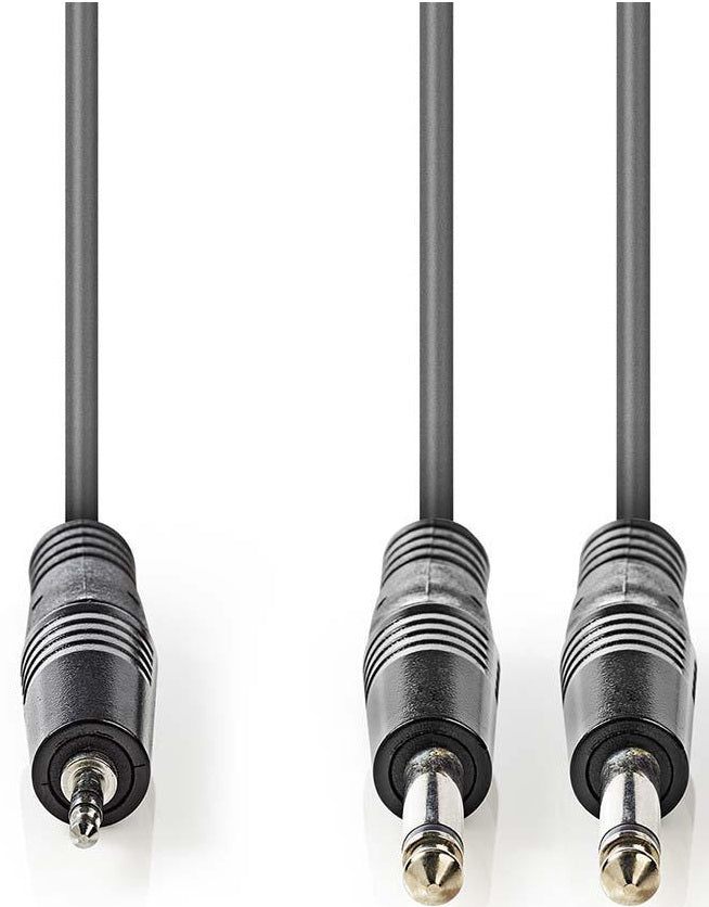 Cavo audio stereo 2x 6,35mm-3.5mm maschio 3m COTH23200GY30 5412810295289 ND2436