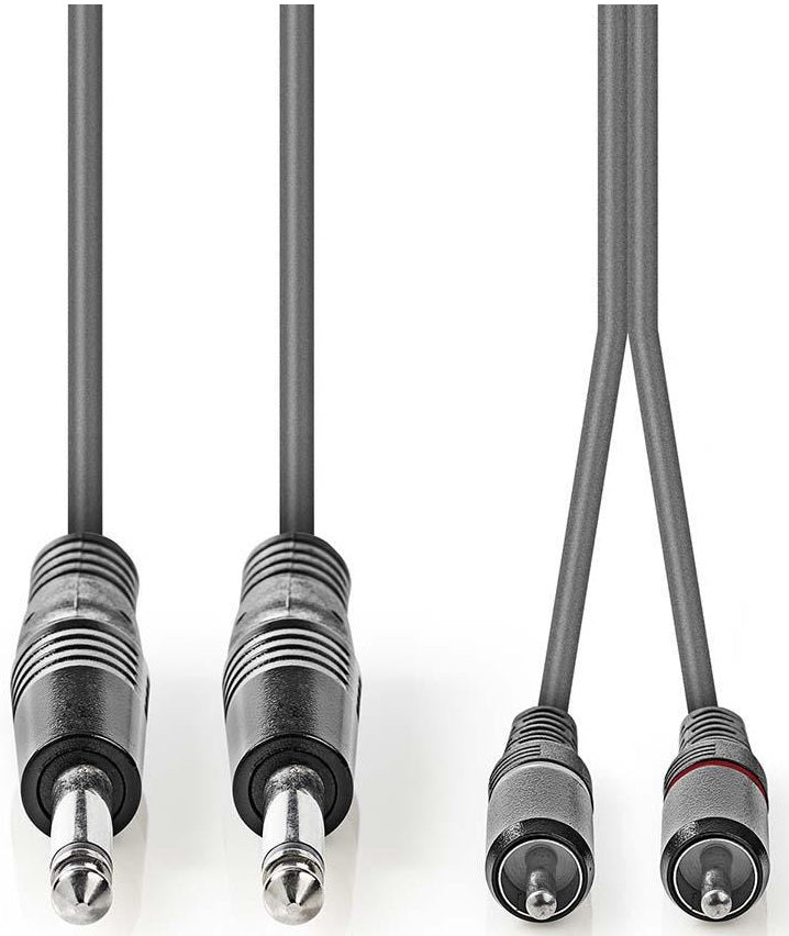Cavo audio stereo 2x 6,35mm maschio-2x maschio RCA 1.5m COTH23320GY15 5412810295333 ND9166