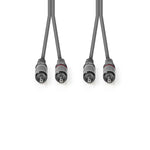 Cavo Audio Stereo 2x Maschio RCA - 2x Maschio RCA 3.0 m Grigio  5412810295371 541281029537 COTH24200GY30 ND2545