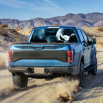 Adesivo decorativo per lunotto auto Wolverine 147x46 cm