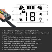 Dispositivo di addestramento per cani Tsattine T10 IP68 impermeabile 2000FT con luce LCD, T10