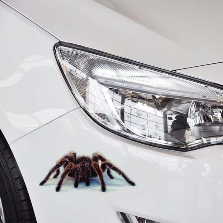 A21 Adesivi casuali per carrozzeria con motivo animale, A21