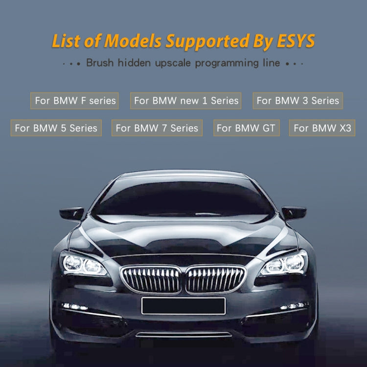ESYS ENET per ICOM BMW Serie F con un set completo di CD V50.3 Cavo nascosto per spazzole per auto, Car Brush Hidden Cable