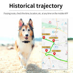 Localizzatore GPS impermeabile per animali domestici P03