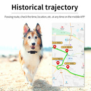 Localizzatore GPS impermeabile per animali domestici P03