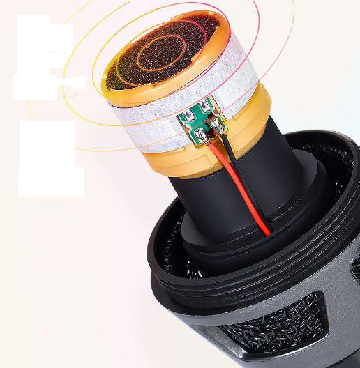 Microfono dinamico professionale Winford  WF2025 MIC572