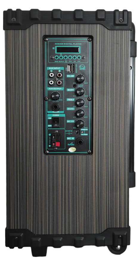 Cassa acustica portatile ricaricabile trolley 10" 80W Bluetooth/SD/USB D-10