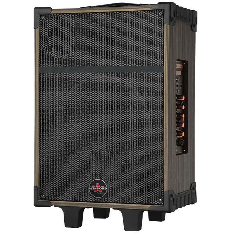 Cassa acustica portatile ricaricabile trolley 12" 80W Bluetooth/SD/USB D-12