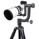 YELANGU Testa per treppiede con giunto cardanico orizzontale a 360 gradi per fotocamere DV e SLR domestiche, YLG0401E