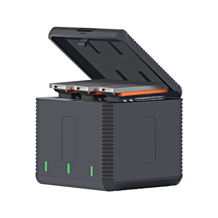 RUIGPRO Scatola caricabatteria tripla per alloggiamento batterie USB con indicatore LED per DJI OSMO Action 1, Charger Box