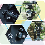 FITTEST X4 Testa a sfera panoramica con baricentro basso e forza di bloccaggio elevata con piastra a sgancio rapido per DSLR e fotocamere digitali, carico massimo 10 kg, YT040 X4