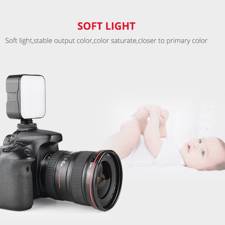YELANGU LED01 49 Luce video LED per fotocamera/videocamera, Video Light