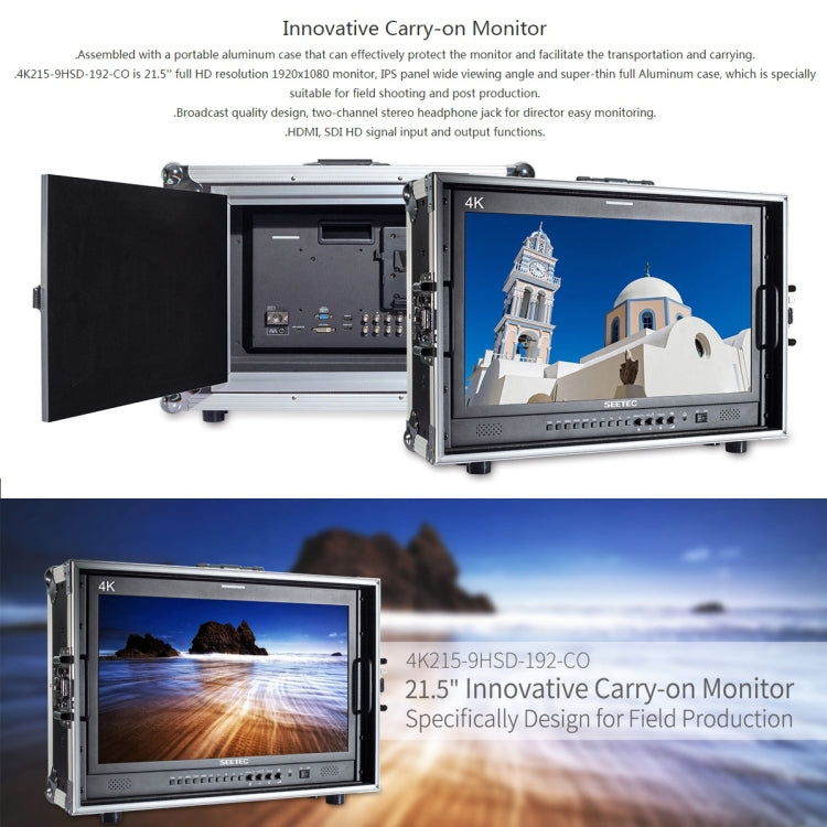 SEETEC 4K215-9HSD-CO 1920x1080 Monitor da campo per telecamera Director Box Full HD SDI/HDMI da 21,5 pollici, 4K215-9HSD-CO