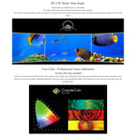 SEETEC 4K215-9HSD-CO 1920x1080 Monitor da campo per telecamera Director Box Full HD SDI/HDMI da 21,5 pollici, 4K215-9HSD-CO