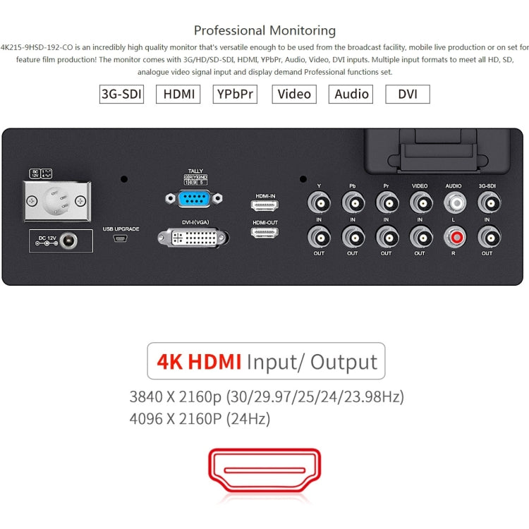 SEETEC 4K215-9HSD-CO 1920x1080 Monitor da campo per telecamera Director Box Full HD SDI/HDMI da 21,5 pollici, 4K215-9HSD-CO