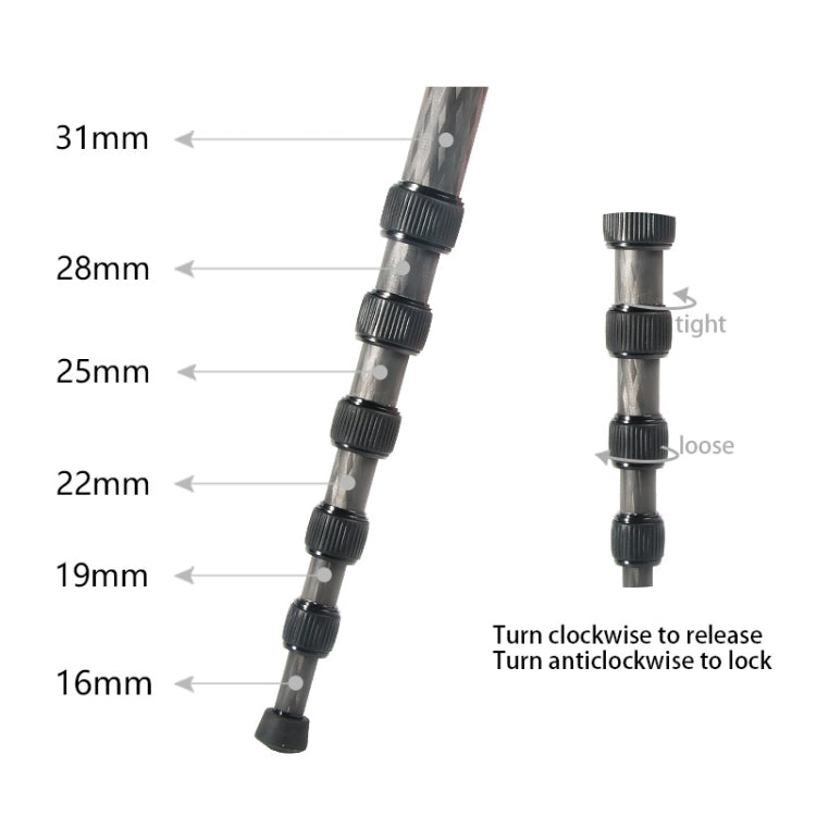 Supporto per monopiede in fibra di carbonio per fotocamera DSLR da viaggio portatile BEXIN P306C, P306C