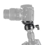 BEXIN DY-60N Cupola con filettatura da 3/8 pollici Treppiede professionale Livellamento Base della testa panoramica a 360 gradi con livella a bolla e adattatore a vite da 3/8 pollici, DY-60N 3/8 inch