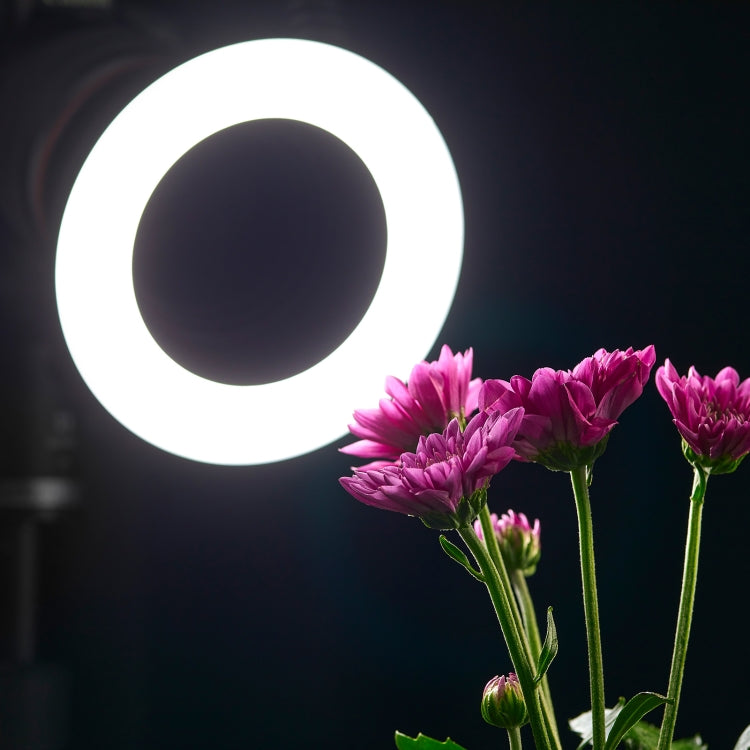 Godox Ring72 Macro Ring 48 LED Flash Light con 8 anelli adattatori di dimensioni diverse, Ring72