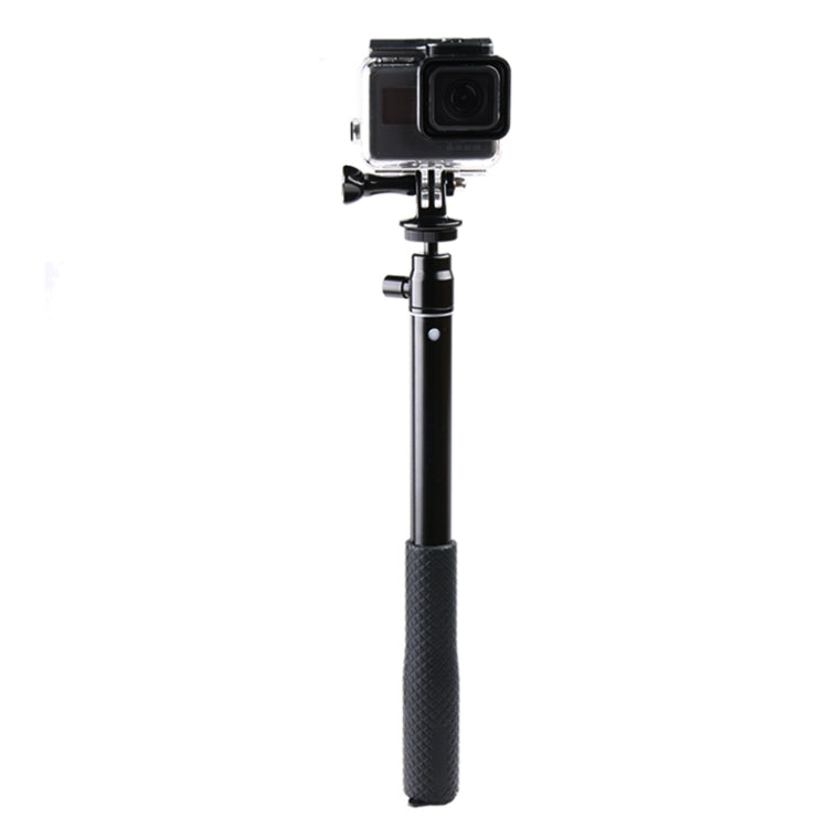 Alt immagine