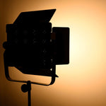 YONGNUO YN9000 900 LED Illuminazione dimmerabile Studio 5600K Luce video, YN9000 5600K