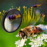 Filtro per obiettivo ravvicinato 10X 2 in 1 da 58 mm per GoPro HERO7 Nero/6/5, 58mm Close-Up Lens