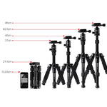 Treppiede portatile regolabile in lega di alluminio TRIOPO T226 con testa a sfera D-0 per fotocamera reflex, T226