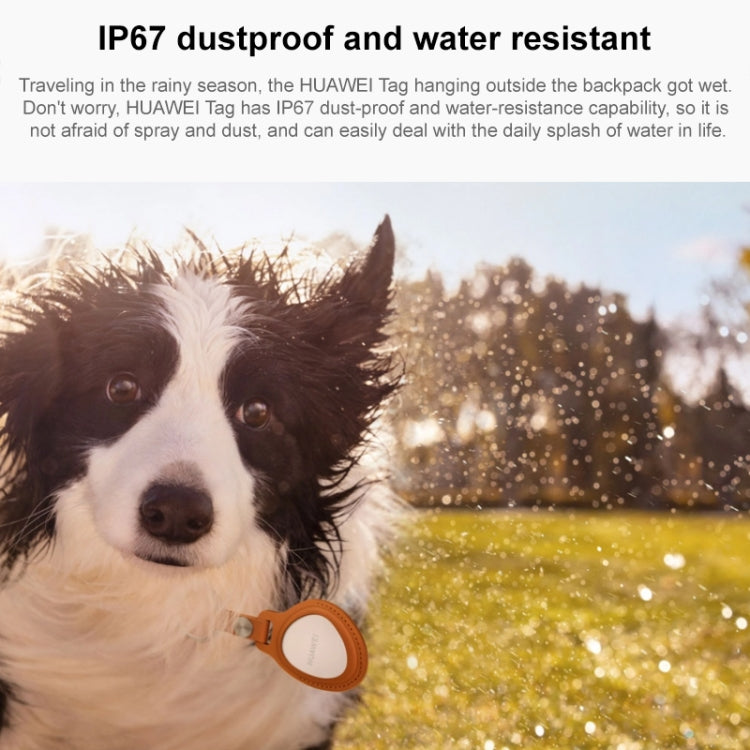 HUAWEI Tag localizzatore anti-smarrimento per animali domestici