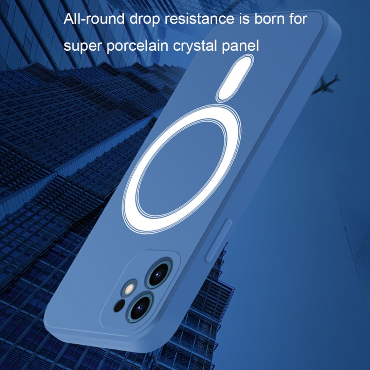 Custodia silicone Magsafe per iPhone 11 e 11 Pro