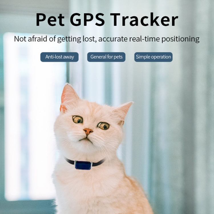 Localizzatore di cani localizzatore GPS per animali domestici impermeabile G06 IP67, G12