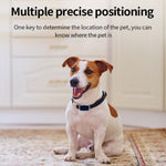 Localizzatore GPS impermeabile per cani e animali domestici