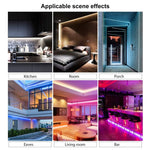 CJ-1206 12V 6A 5m IP65 Striscia luminosa a LED al neon in silicone impermeabile, spina americana