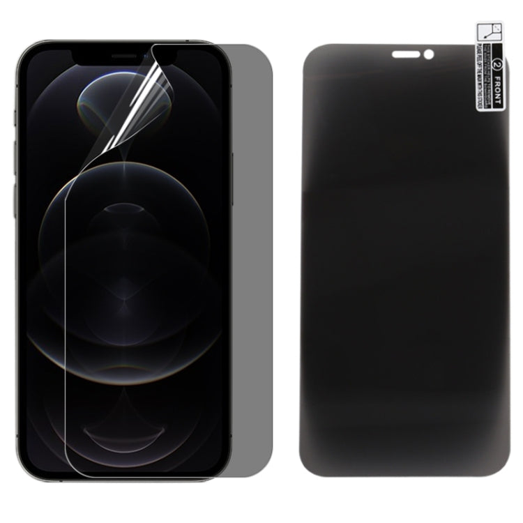 Pellicola salvaschermo anti-spia per iPhone 12 Pro