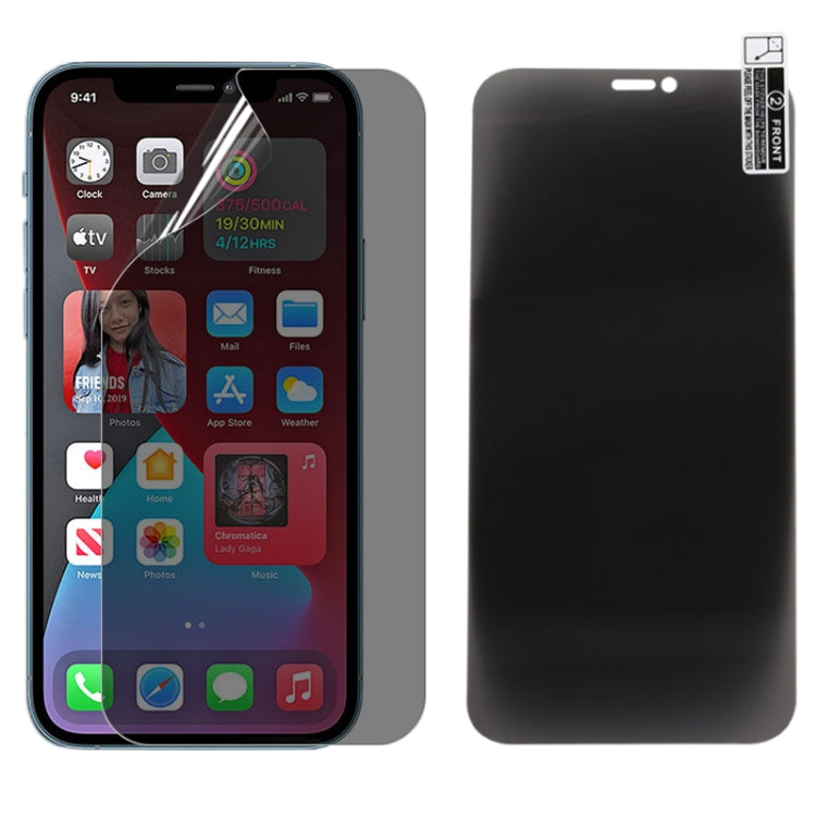 Pellicola salvaschermo anti-spia per iPhone 12 Pro