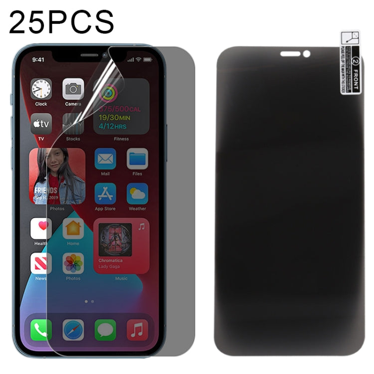 Pellicola idrogel anti-spia 0.1mm per iPhone 12 Pro